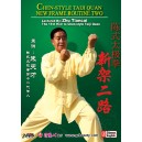 2ème Enchaînement Récent du Tai Ji style Chen Maître ZHU Tiancai