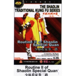 2ème enchaînement Shaolin Kai Shan Quan