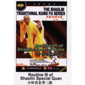 3ème enchaînement Shaolin Kai Shan Quan