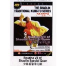 7ème enchaînement Shaolin Kai Shan Quan