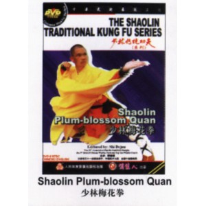 Shaolin boxe de prunier
