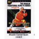Shaolin boxe de canon