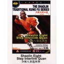 Shaolin 8 étapes  de combine de boxe