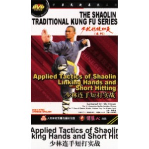 Shaolin combat réel de combine de boxe