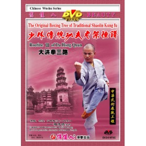 Shaolin 3ème enchaînement de la boxe de Da Hongquan