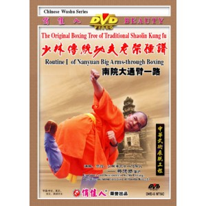 Shaolin 1ème enchaînement de Nanyuan grand bras à travers