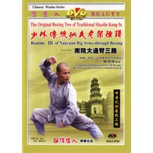 Shaolin 3ème enchaînement de Nanyuan grand bras à travers