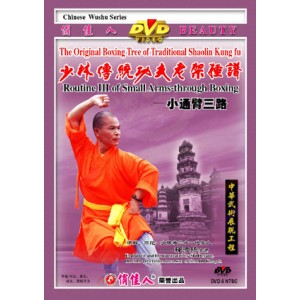 Shaolin 3ème enchaînement de Nanyuan petit bras à travers
