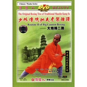 Shaolin 2ème enchaînement de grand canon boxe