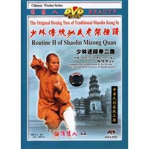 Shaolin 2ème enchaînement de boxe de Mizong