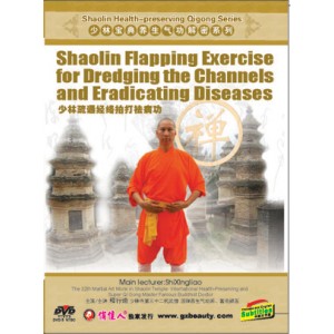 Shaolin Battant exercice pour le dragage du Chaînes et éradiquer les maladies