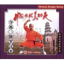 Shaolin 2ème enchaînement Luo Hanquan(VCD)