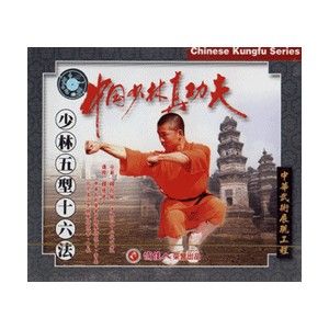 Shaolin 5 formes et 16 méthodes de combat (VCD)